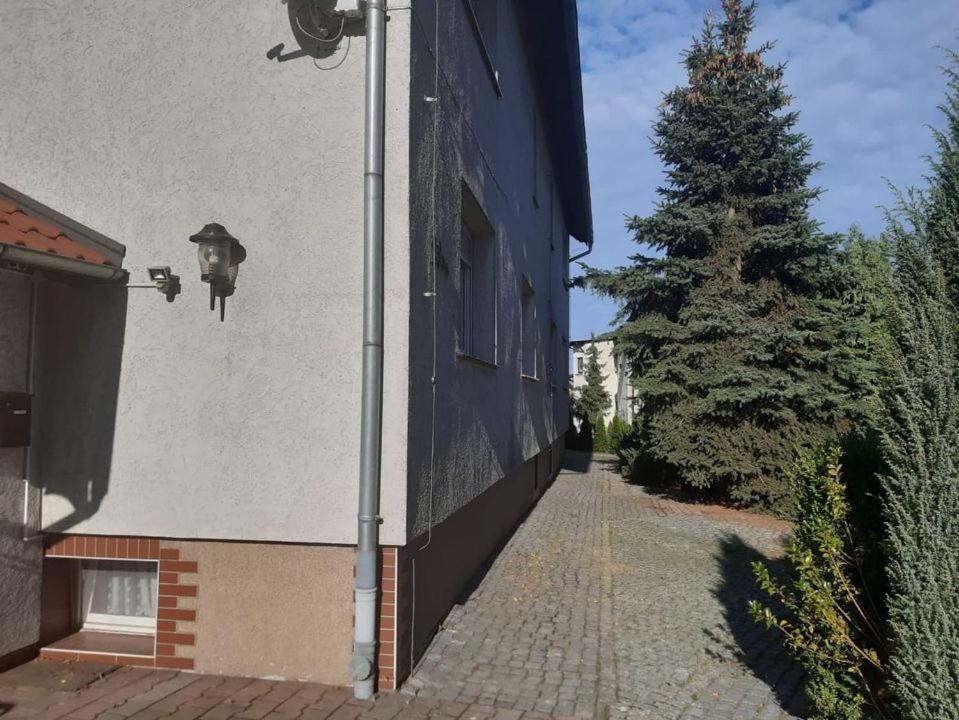 Noclegi Nowogrodziec Экстерьер фото